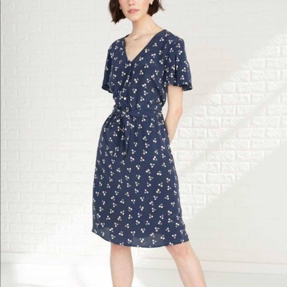 Amour Vert Samantha Cherry Print Dress